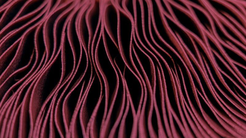 Masaj Deep Tissue